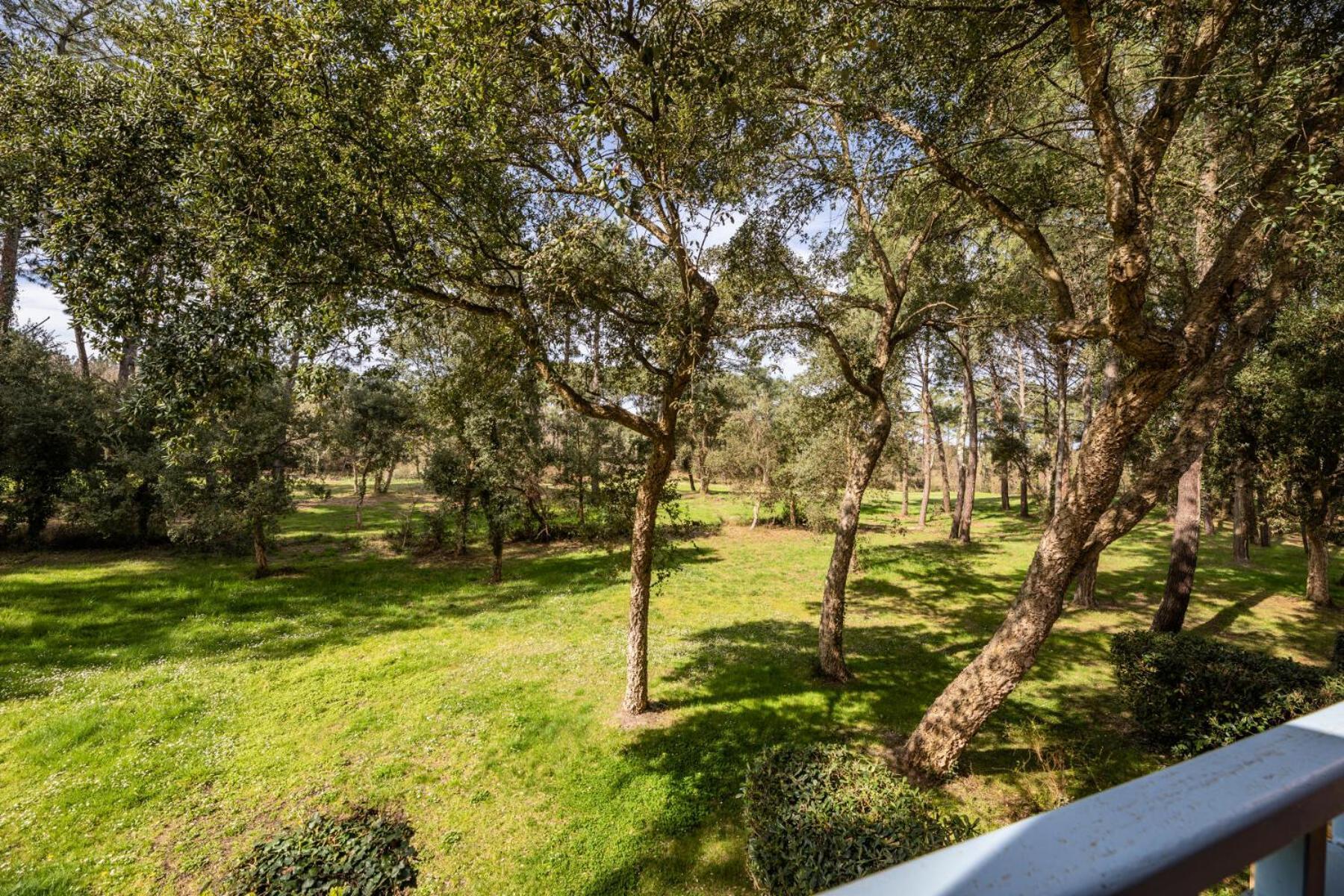Le Domaine Du Golf De Pinsolle - Maeva Home - Appartement 2 Pieces 5 Personnes - Confort Mae-2674 Сустон Экстерьер фото